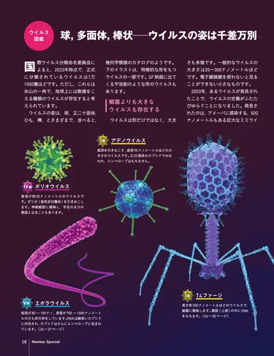 ページ 