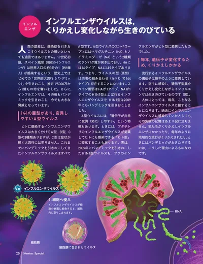 ページ 