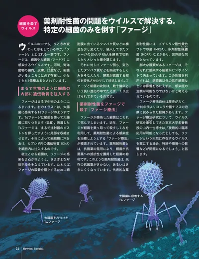 ページ 
