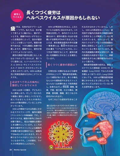 ページ 
