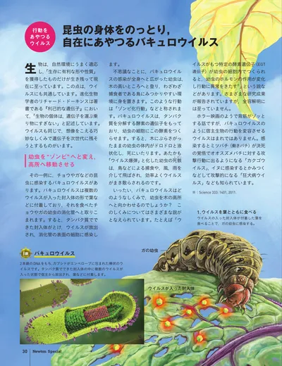 ページ 