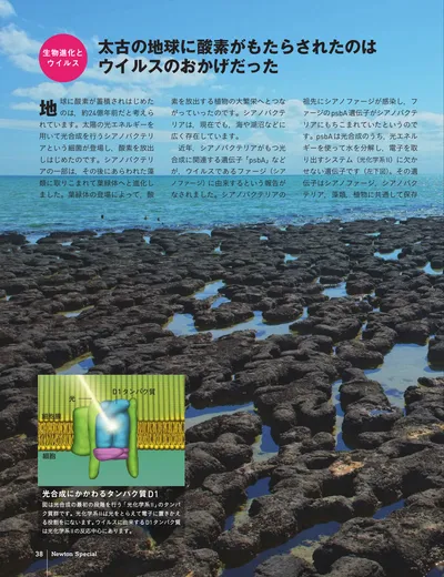 ページ 