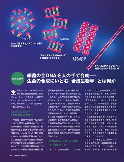 ページ 