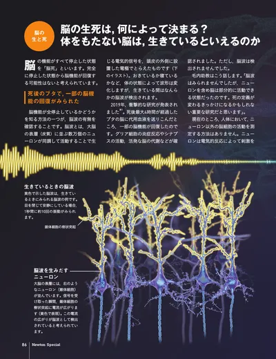 ページ 