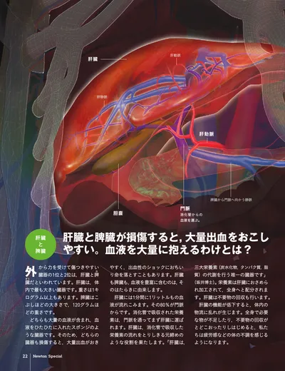 ページ 
