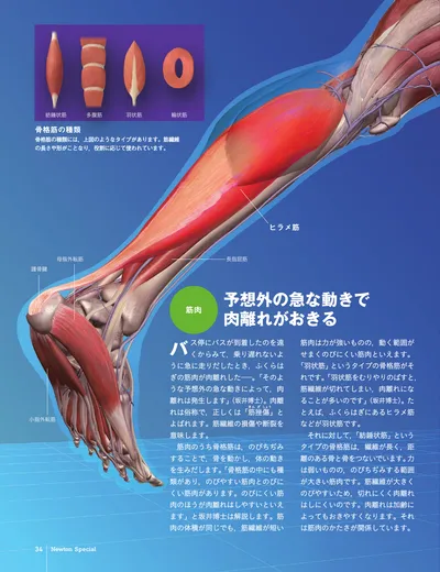 ページ 