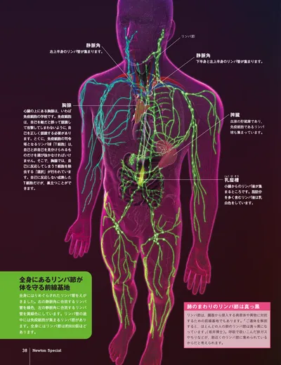 ページ 