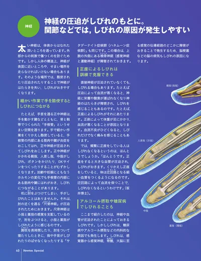 ページ 
