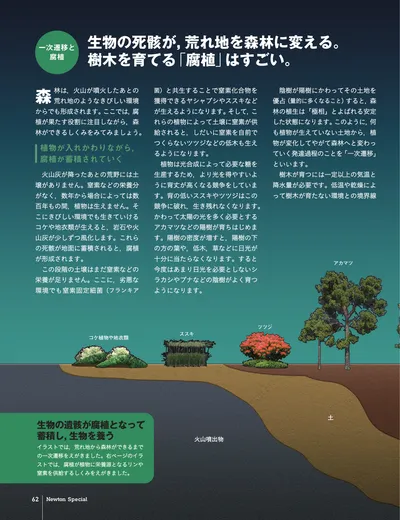 ページ 
