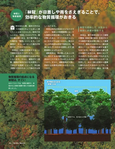 ページ 