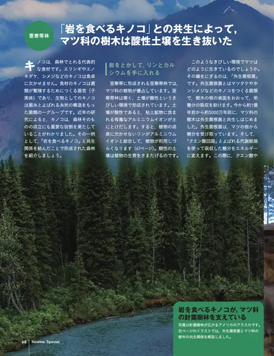 ページ 
