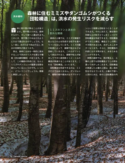 ページ 
