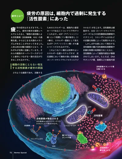 ページ 