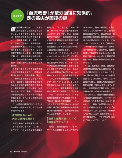 ページ 
