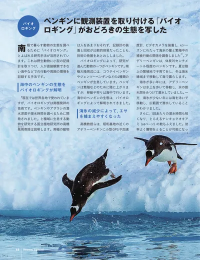 ページ 