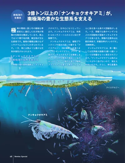ページ 