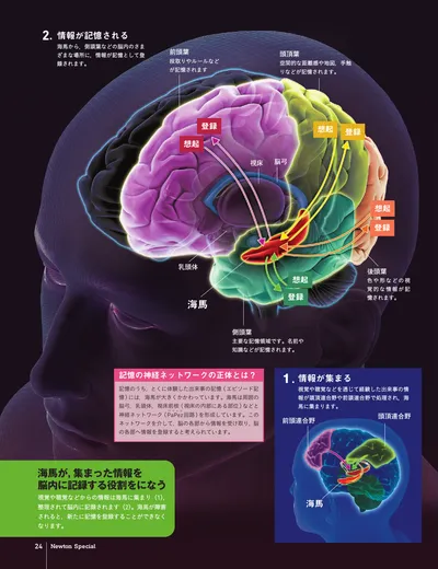 ページ 