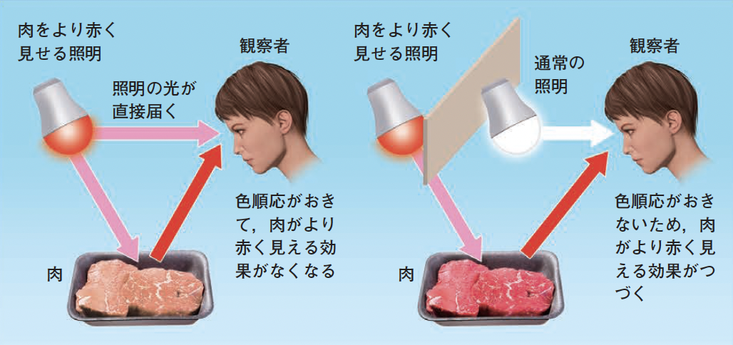 【色彩工学①】色にまつわる課題を解決するには色が見えるしくみの理解が必要