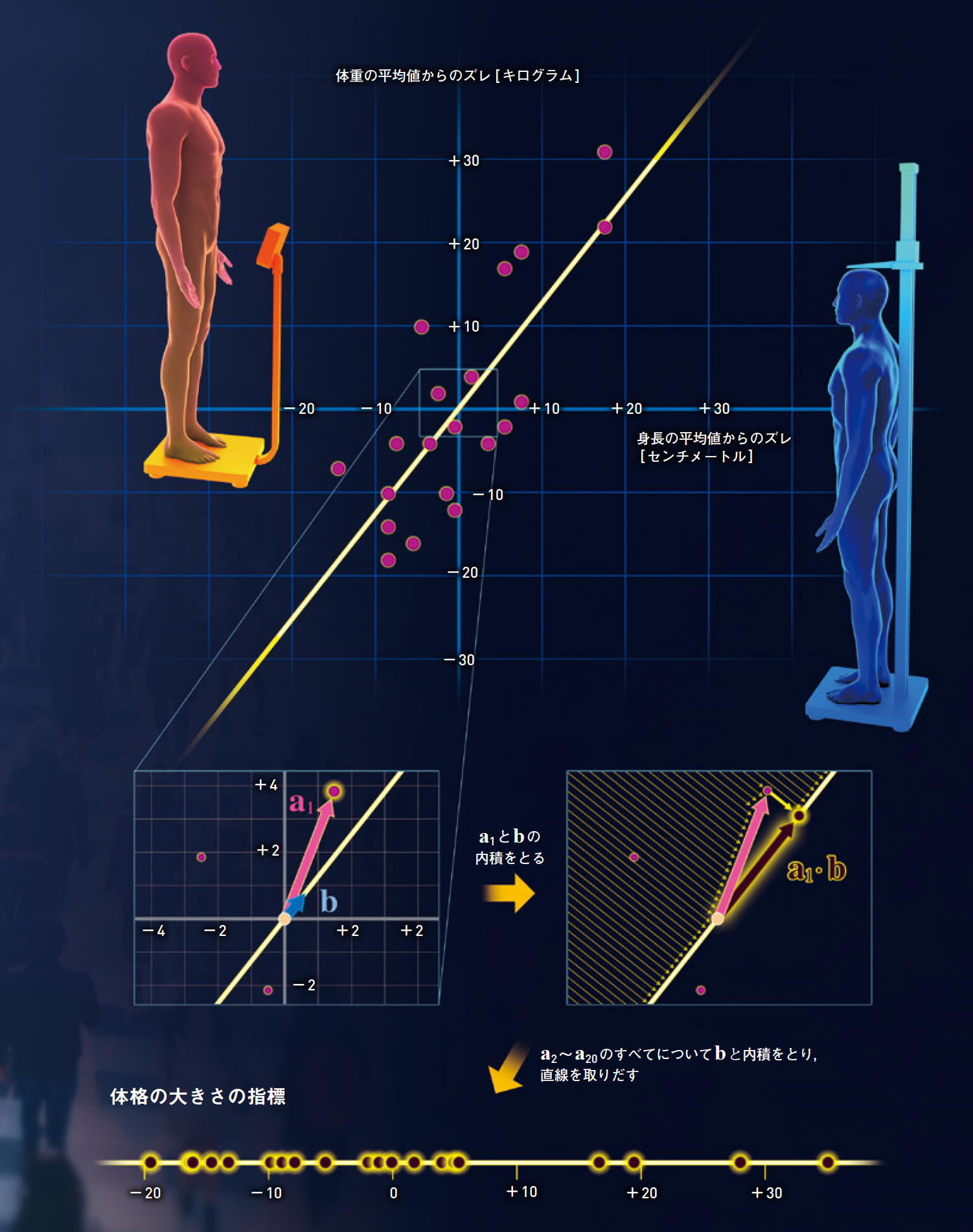 【ベクトルの内積②】集団を「体格のよさ」の順に並べるには？