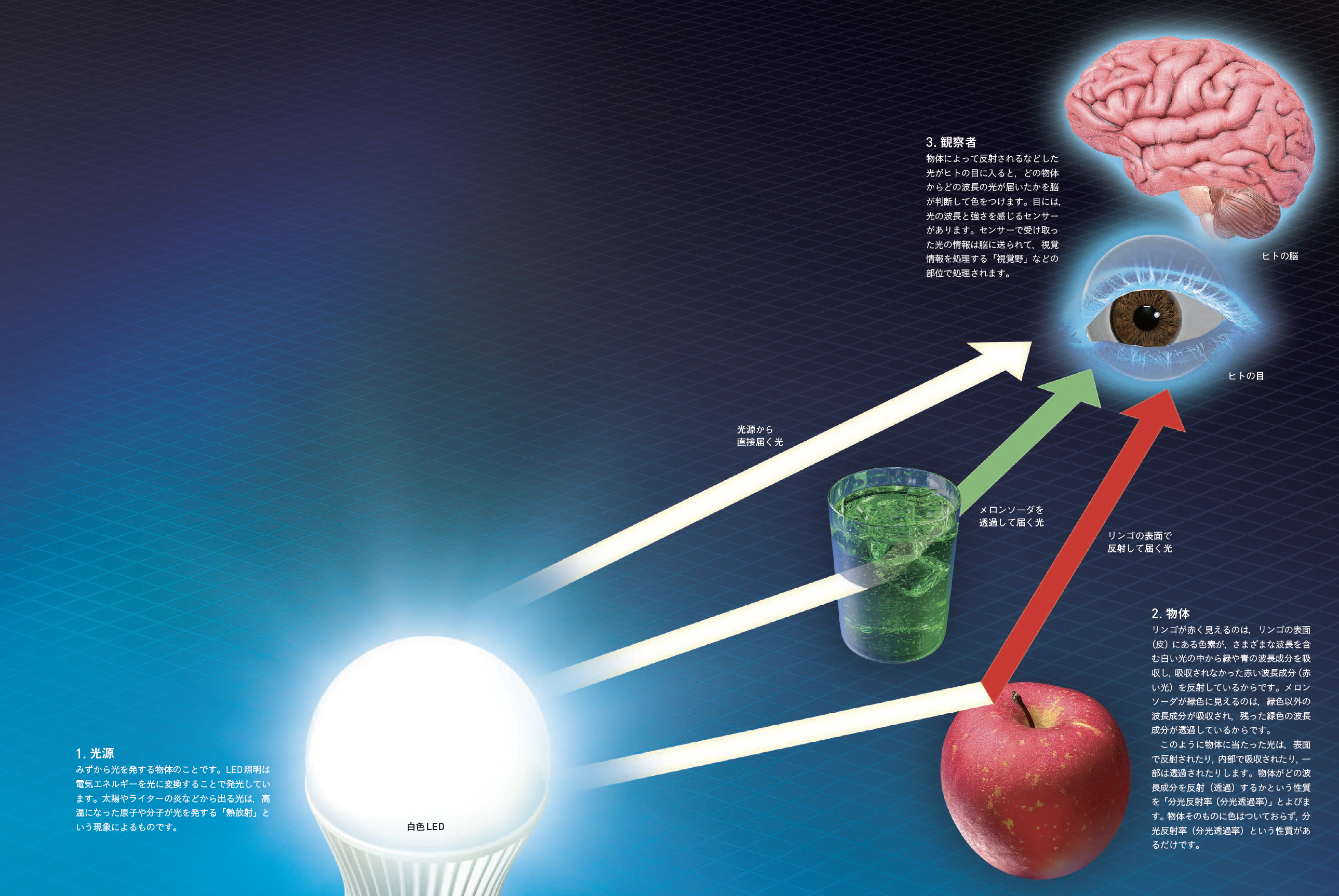 【色発現の3要素】光源，物体，観察者。この三つが組み合わさって，色が生まれる