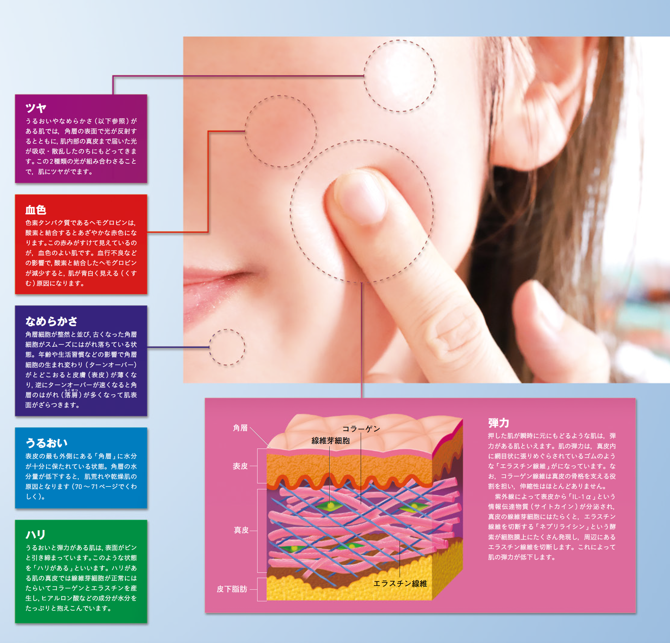 【肌質と見た目】美しい肌の条件「う・な・は・だ・け・つ」とは？