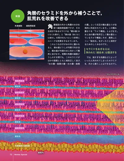 ページ 