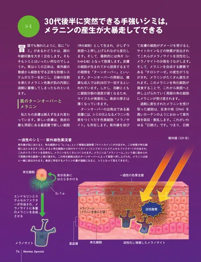 ページ 