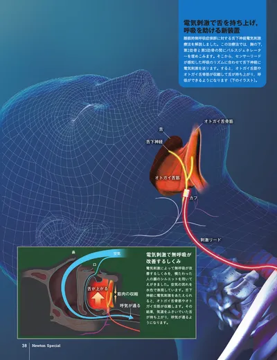 ページ 