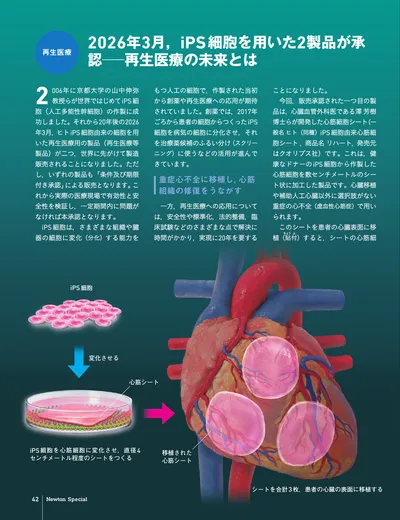 ページ 