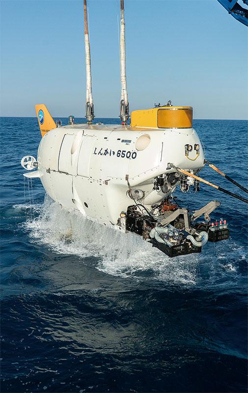 Super Vision　日本の深海は新種の宝庫 　南海トラフと七曜海山列で，大規模な深海調査が実施された