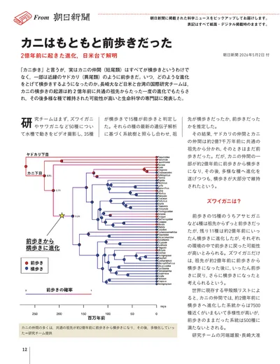 ページ 