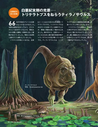 ページ 