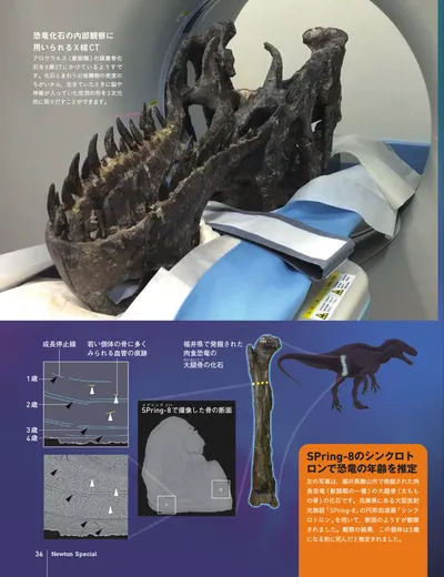 ページ 