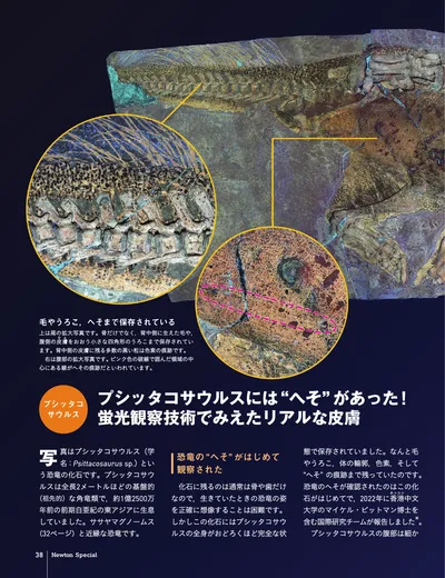 ページ 