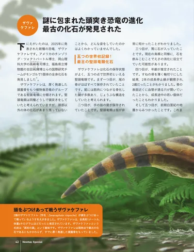 ページ 