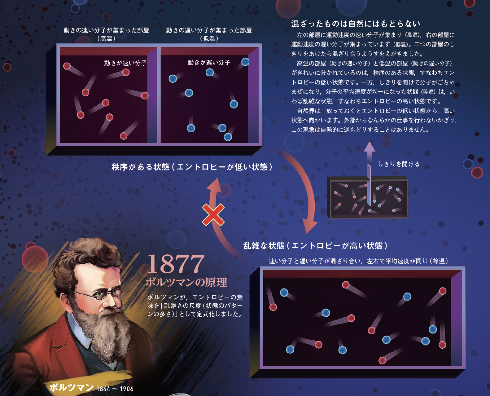 【エントロピーとは？】なぜ熱は高温から低温に流れるのか ─ボルツマンが解いた「エントロピーの謎」