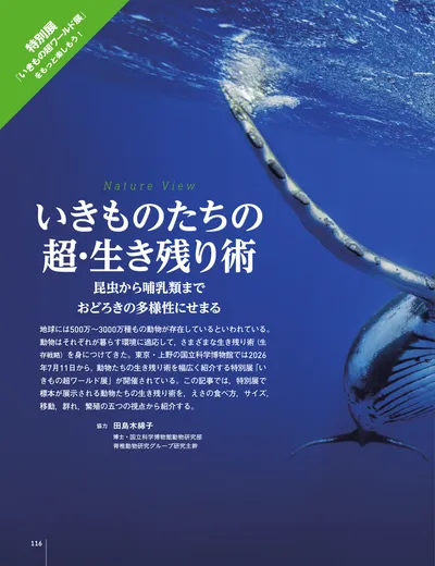 ページ 