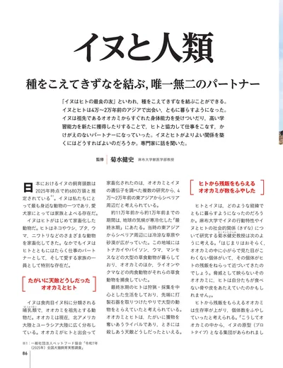 ページ 