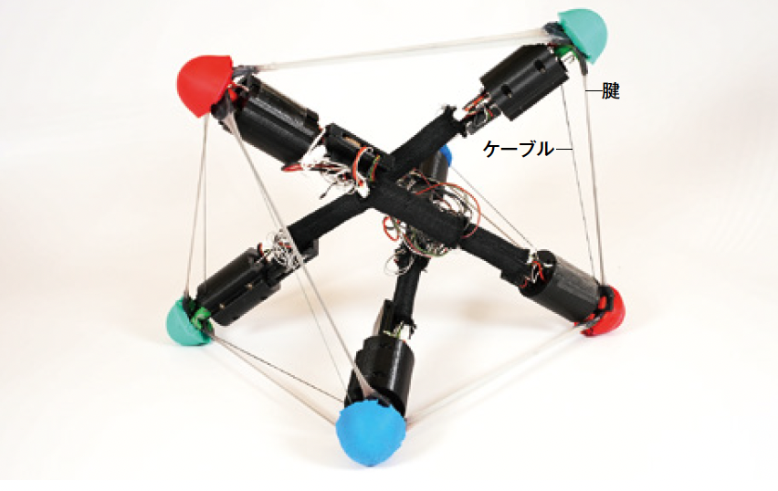 FOCUS　話題の最新研究やニュースをコンパクトに紹介。