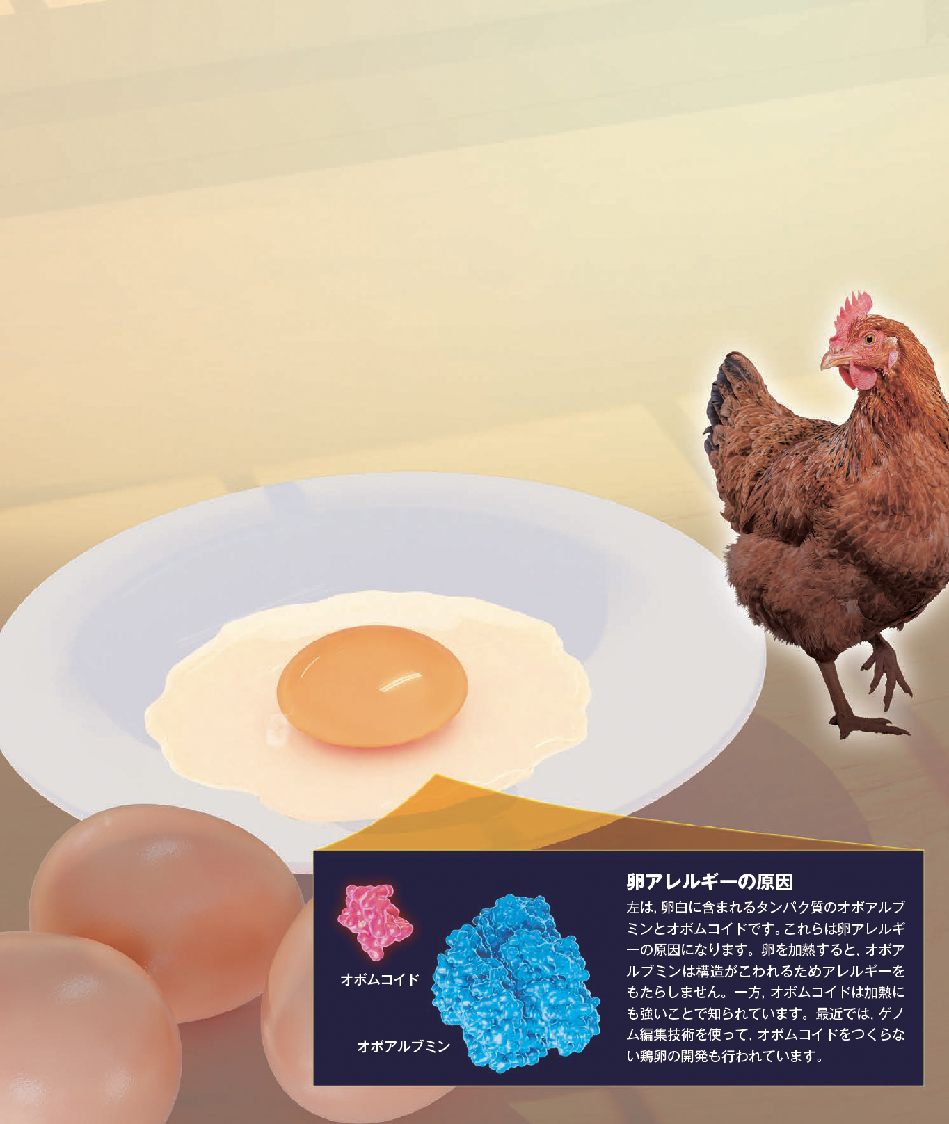【卵の未来】植物からつくられた代替卵なら卵アレルギーの人も食べられる
