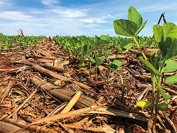 【野菜の未来】植物工場は大量の電力が必要になる。畑からの肥料の流出は，危機的な状況