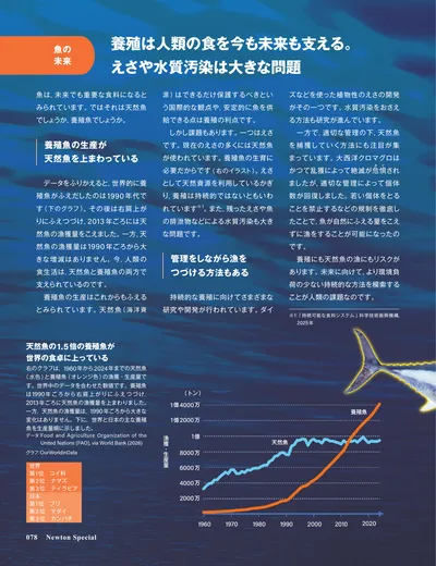 ページ 