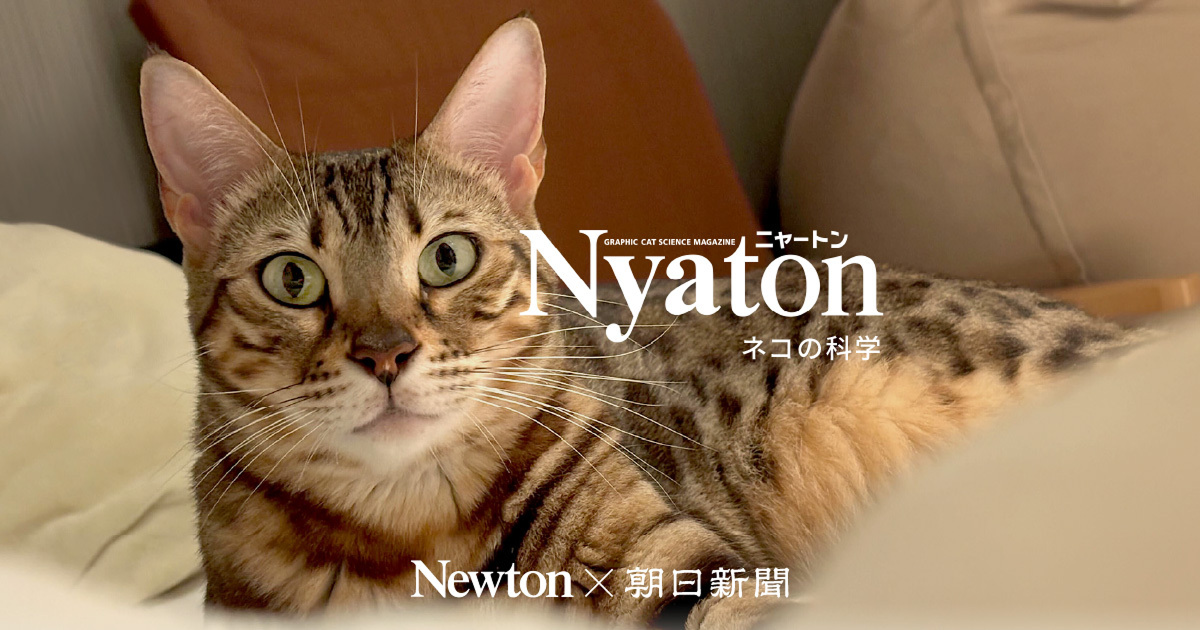 Nyaton ネコの科学