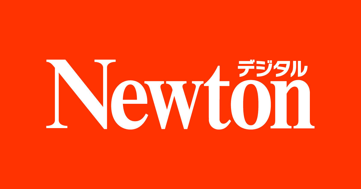 【2025年ドイツミュンスター】日本とドイツの物理学者が集い物理学の平和利用を誓った